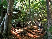 18 Siamo sul sent. 519 A in splendida alta faggeta